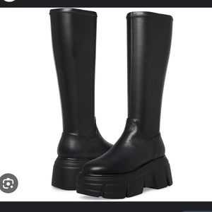 steve madden black combat boots